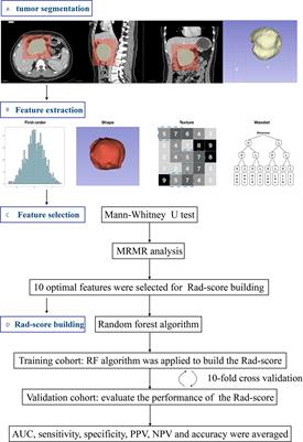 CT-Based Radiomics Analysis for Preoperative Diagnosis of Pancreatic Mucinous Cystic Neoplasm and Atypical Serous Cystadenomas